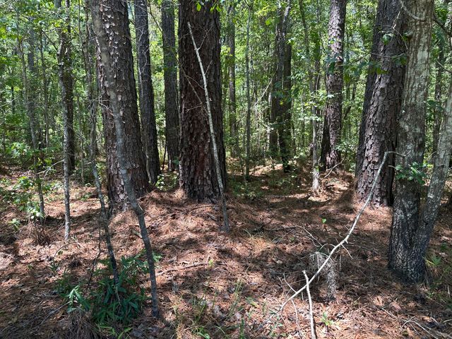 00 Highway 17a, Bonneau, SC 29431