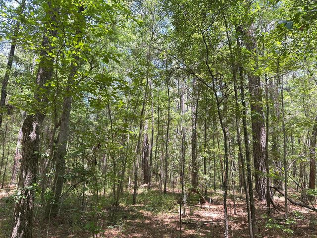 00 Highway 17a, Bonneau, SC 29431