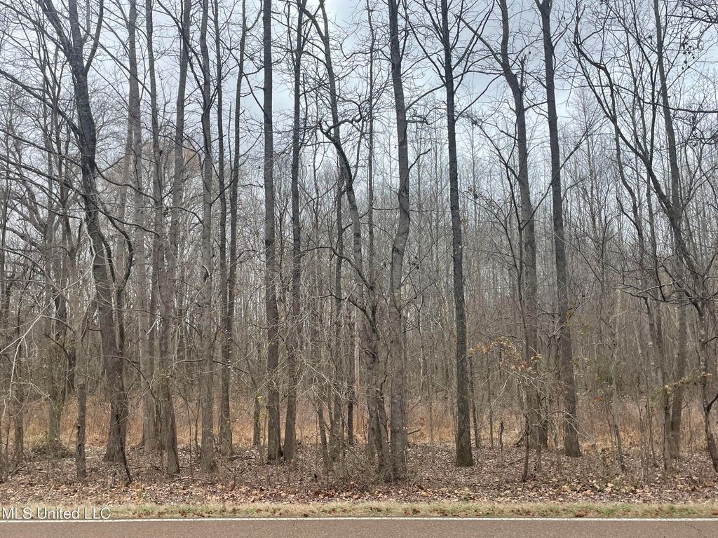 Looxahoma Tyro Road, Senatobia, MS 38668 — exterior