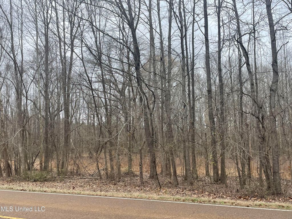 Looxahoma Tyro Road, Senatobia, MS 38668 — photo 2