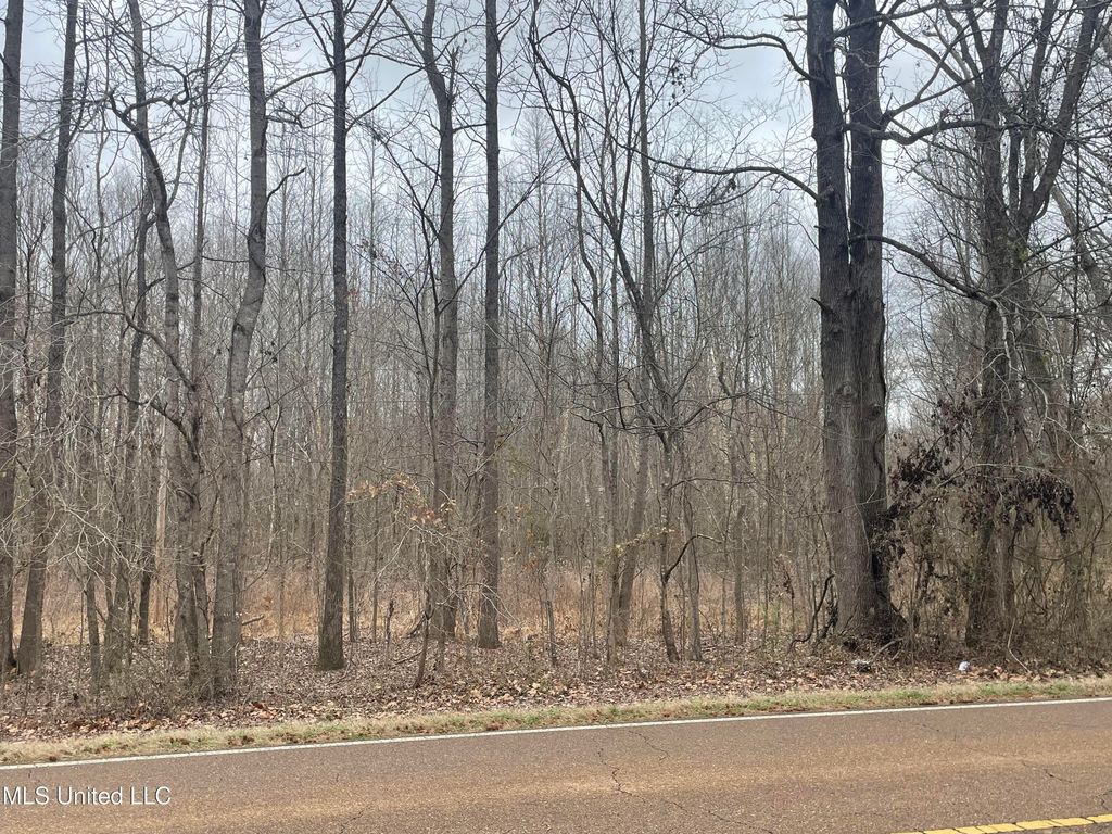 Looxahoma Tyro Road, Senatobia, MS 38668 — photo 3