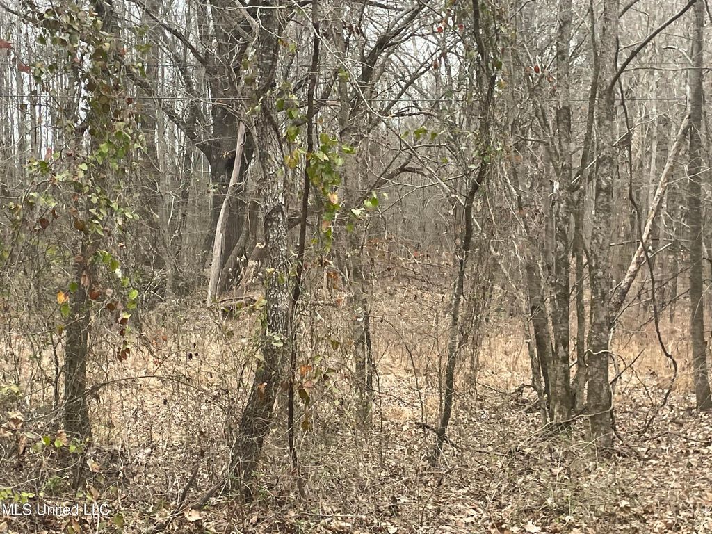 Looxahoma Tyro Road, Senatobia, MS 38668 — photo 4