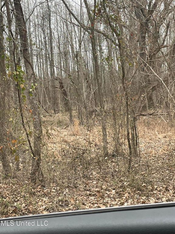 Looxahoma Tyro Road, Senatobia, MS 38668 — photo 5