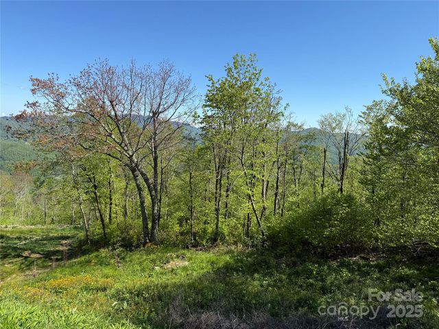 70 Sunset Strip Estates 70, Beech Mountain, NC 28604