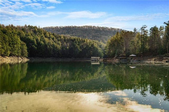 770 Fish Hook Point, Blue Ridge, GA 30513