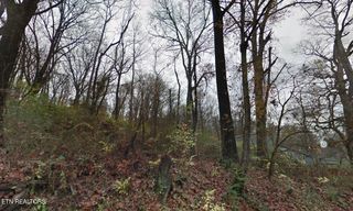 1320 Massachusetts Ave, Knoxville, TN 37921