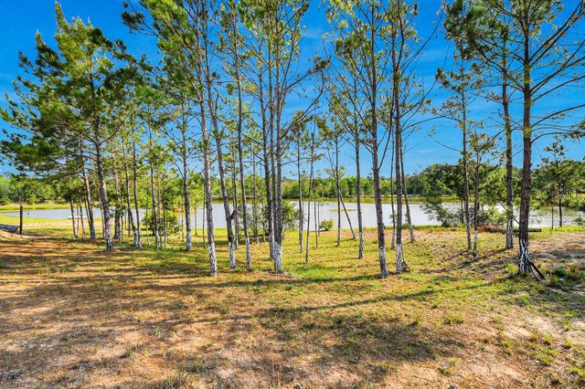 20065 Spring Hill Lane, Porter, TX 77365