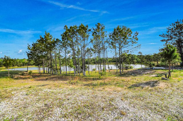 20065 Spring Hill Lane, Porter, TX 77365