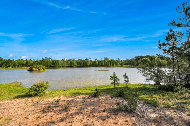 20065 Spring Hill Lane, Porter, TX 77365