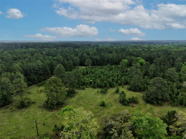 TBD Fm 1791 Road, Richards, TX 77873