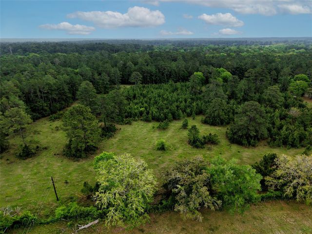 TBD Fm 1791 Road, Richards, TX 77873