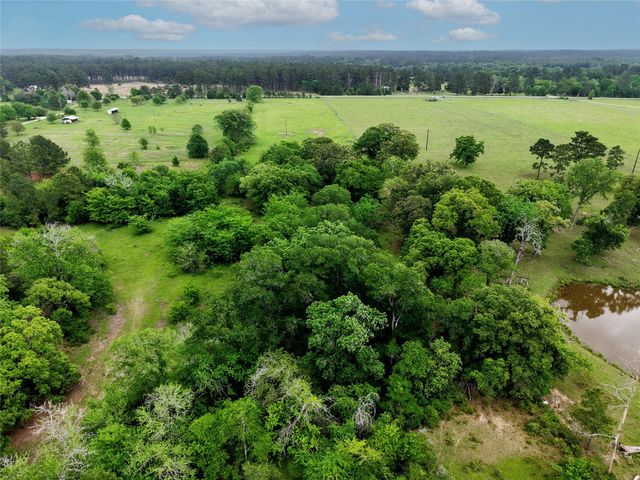 TBD Fm 1791 Road, Richards, TX 77873