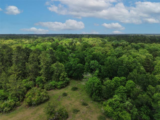 TBD Fm 1791 Road, Richards, TX 77873