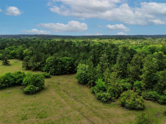 TBD Fm 1791 Road, Richards, TX 77873