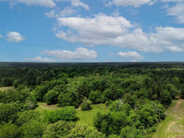 TBD Fm 1791 Road, Richards, TX 77873