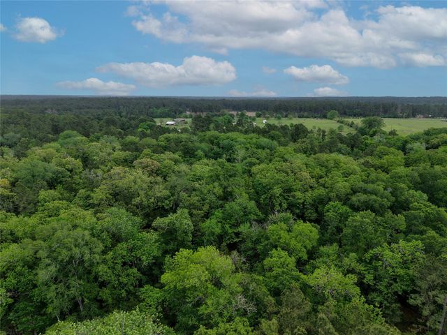 TBD Fm 1791 Road, Richards, TX 77873