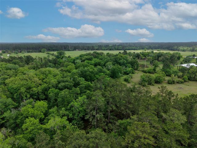 TBD Fm 1791 Road, Richards, TX 77873