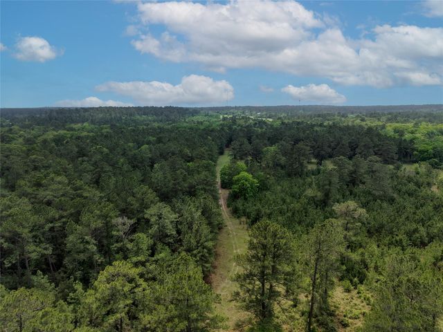 TBD Fm 1791 Road, Richards, TX 77873