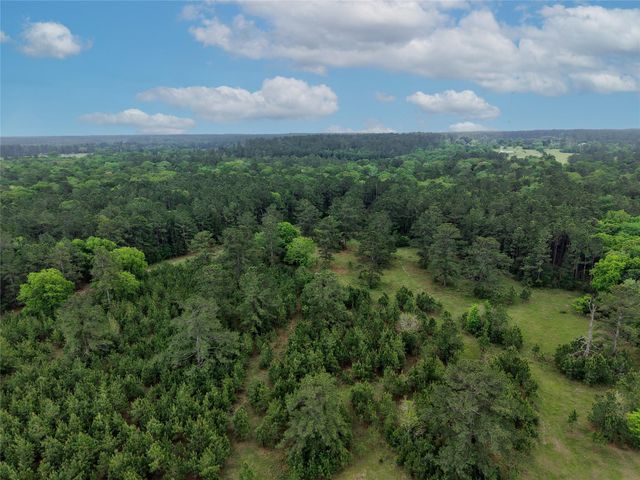 TBD Fm 1791 Road, Richards, TX 77873