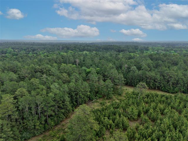 TBD Fm 1791 Road, Richards, TX 77873