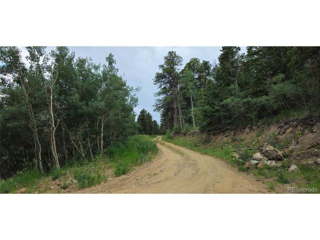 8077 Drew Hill Rd, Golden, CO 80403