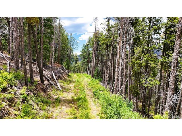 8077 Drew Hill Rd, Golden, CO 80403