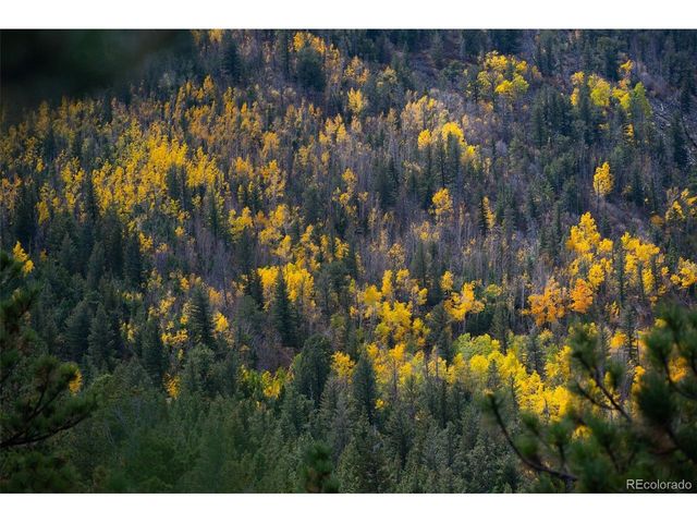 8077 Drew Hill Rd, Golden, CO 80403