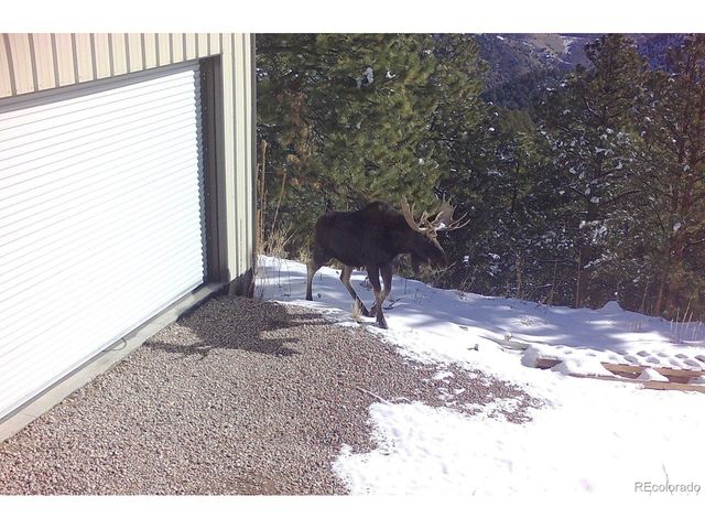 8077 Drew Hill Rd, Golden, CO 80403