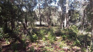 NE 169TH PLACE PLACE, Citra, FL 32113
