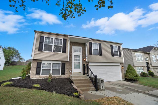 558 Tupelo Drive, Independence, KY 41051