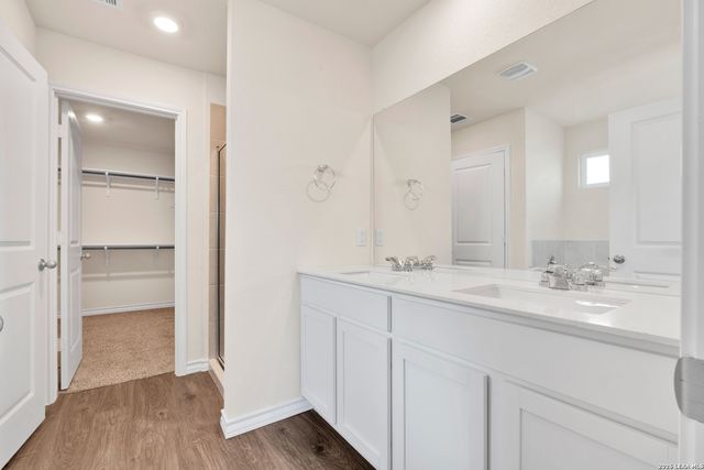 193 Ringed Plover, San Antonio, TX 78253