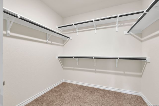 193 Ringed Plover, San Antonio, TX 78253