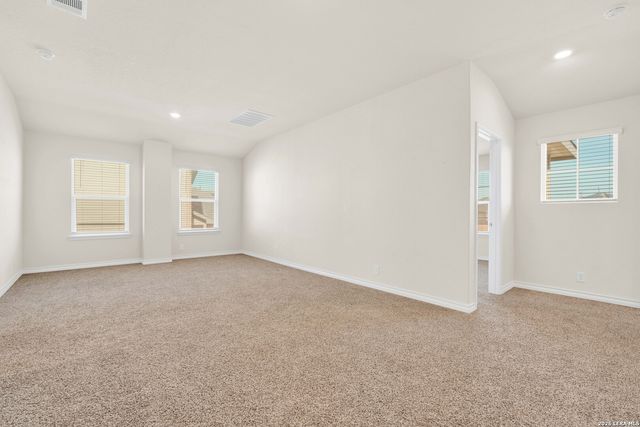 193 Ringed Plover, San Antonio, TX 78253