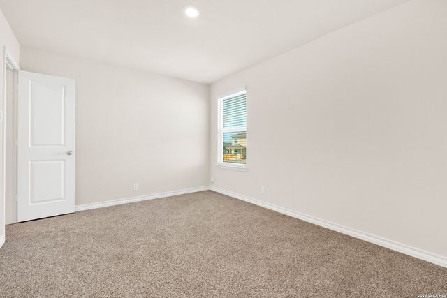 193 Ringed Plover, San Antonio, TX 78253