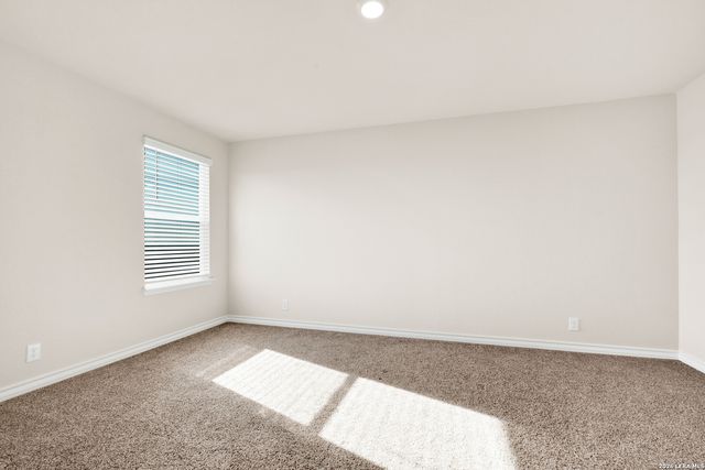 193 Ringed Plover, San Antonio, TX 78253