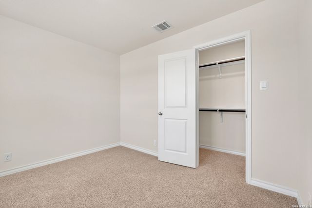 193 Ringed Plover, San Antonio, TX 78253