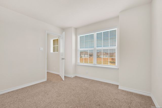 193 Ringed Plover, San Antonio, TX 78253