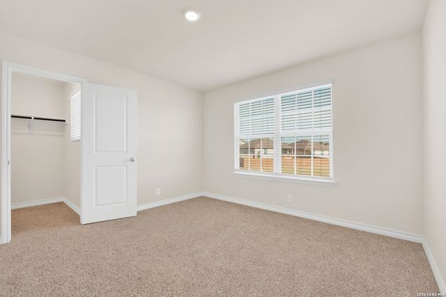 193 Ringed Plover, San Antonio, TX 78253