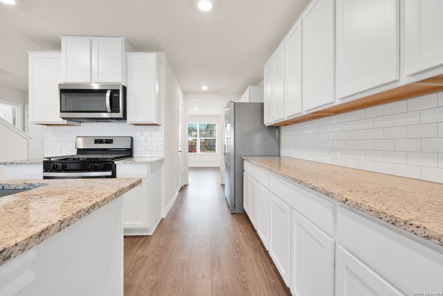 193 Ringed Plover, San Antonio, TX 78253