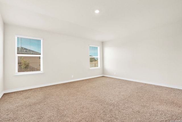 193 Ringed Plover, San Antonio, TX 78253