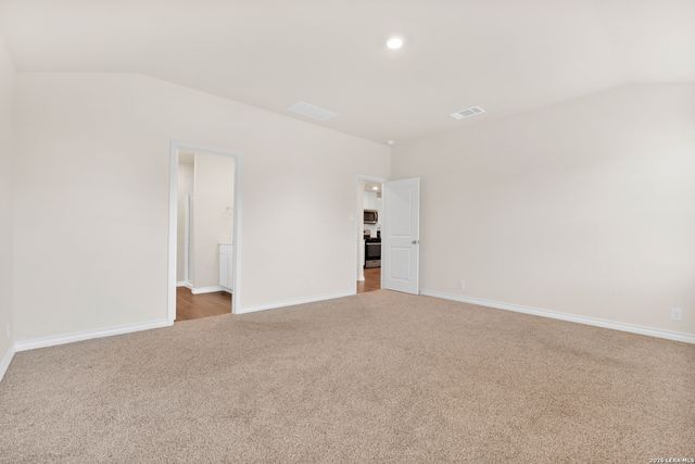 193 Ringed Plover, San Antonio, TX 78253