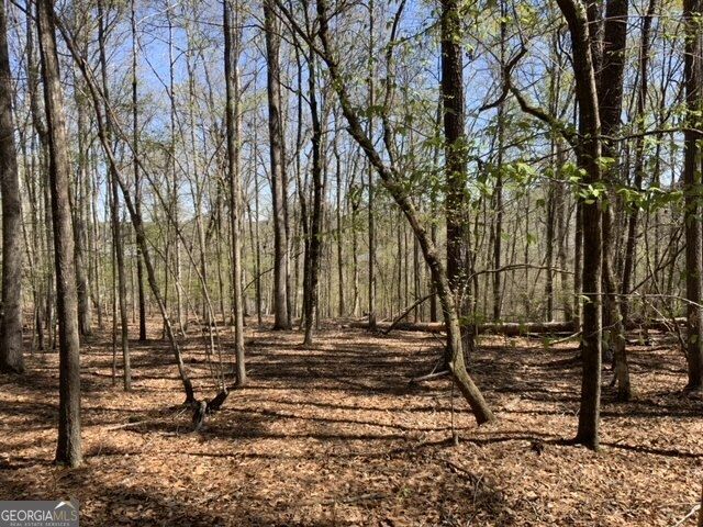 109 Cape Harbour Drive NW, Milledgeville, GA 31061