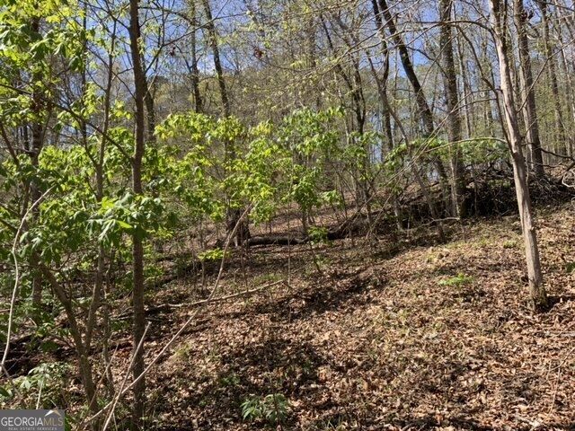 109 Cape Harbour Drive NW, Milledgeville, GA 31061