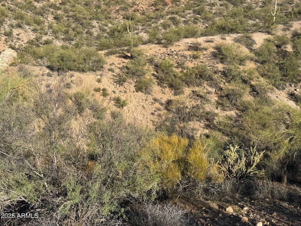 38000 S Blue Tank Trail -, Wickenburg, AZ 85390 — photo 4
