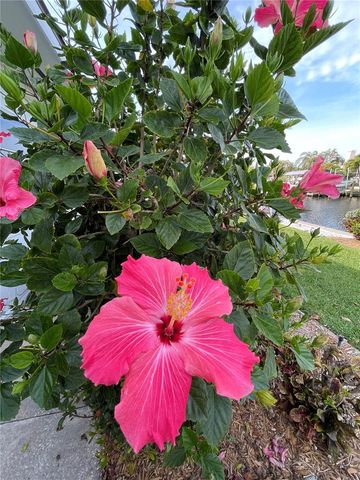 5219 BIMINI DRIVE, Bradenton, FL 34210