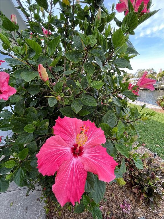 Image 33 of property listing at 5219 BIMINI DRIVE, Bradenton, FL 34210