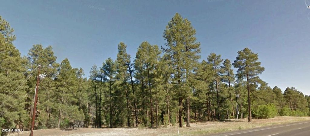 Image 2 of property listing at 2351 S White Mountain Road -, Show Low, AZ 85902