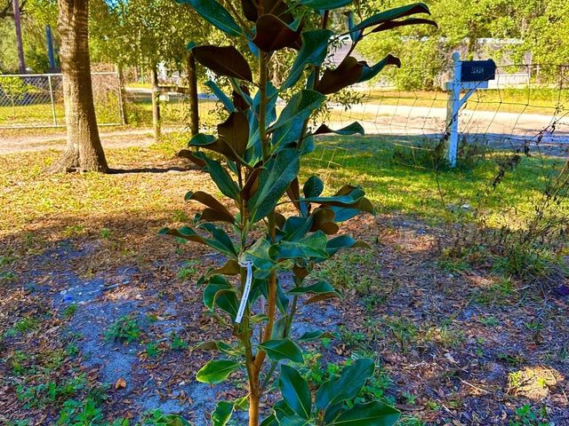 14640 NE 149TH LANE, Fort Mc Coy, FL 32134