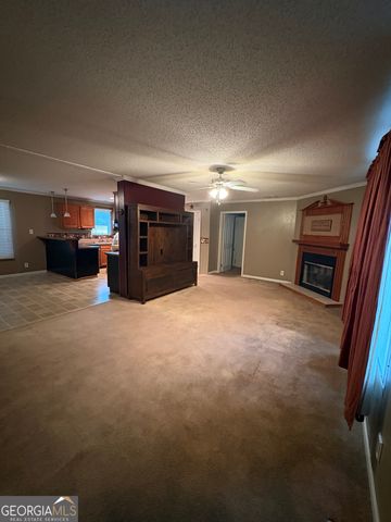 2648 Orphans Cemetery Road, Eastman, GA 31023