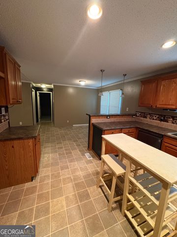 2648 Orphans Cemetery Road, Eastman, GA 31023